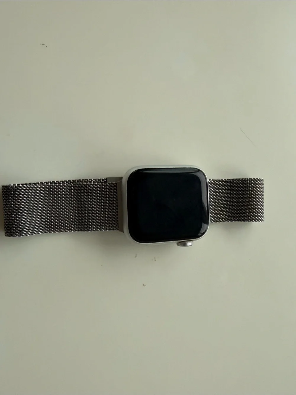 Silver Apple Smartwatch SE 41mm